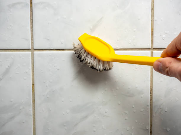 Best Toxic Mold Removal  in Melvindale, MI